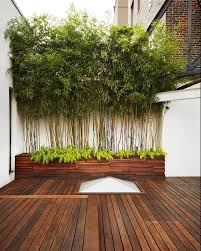 20 Bamboo In Pots Which You Can Make Decoration Inside Or Outside The House Urban Garden Design Bamboo In Pots Garden Architecture