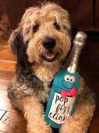 Tips for publishing a book of Sully stories