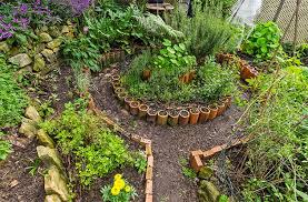 How To Start A Permaculture Garden Permaculture Gardening Permaculture Backyard Vegetable Gardens