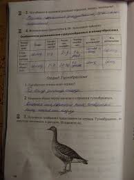 гдз математика 6 класс мерзляк полонский якир рабинович 2014 Gdz Po Biologii Zhivotnye 7 Klass Uchebnik Latyushin Shapkin 2014 Prakard