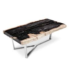 Petrified wood slice utah, escalante $ 725.00 read more; Masso Petrified Wood Slab Coffee Table Dark