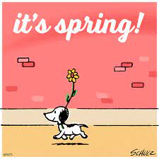 Snoopy - First day of spring 🌼 | Facebook