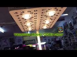 Dhgate offers a large selection of shisha led light and led grape lights with superior quality and exquisite craft. Led Grow Lights Australia Youtube