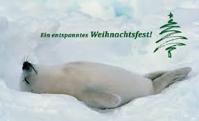 Weihnachten ist das fest der familie und die zeit des besinnlichen zusammenseins und der geschenke. Lustige Weihnachtsgrusse Alles Zu Spruchen Motiven Gestaltung