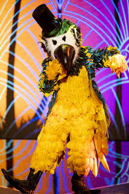 Willeke alberti, the 'grand lady' of the dutch life song! The Masked Singer Creaties Vuurvogel Neptunus En Zebra In Bredaas Atelier Tot Leven Gewekt Breda Bndestem Nl