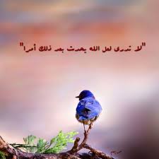 ضوء ينبع من يقين أمل كبير في محبة الله فكل محنة تتجل ى فيها حكمة الله الرحيم لا تدري لعل الله يحدث بعد ذلك أمرا الطلاق 1 Country Life Life Wisdom