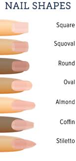 Different Types Of Acrylic Nail Shapes Clipart Images