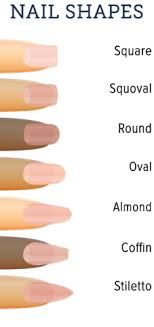 different types of acrylic nail shapes clipart images