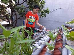 Tampak berbagai penerapan ilmu pertanian seperti akuaponik yang merupakan perpaduan antara pertanian dan perikanan. Tips Berkebun Di Atap Rumah Anti Gagal Panen Kumparan Com
