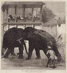 Elephant-Fighting at Baroda before the Prince of Wales stock image | Look and Learn