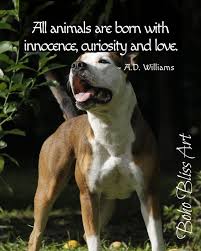 A D Williams Quote All Animals Are Born With Innocence Curiosity Love Quote Wall Art Instant Download Animaladvocac Animals Animal Reiki Cute Animals