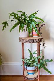 Show off your beloved plants with our shibuya stacked plant stand in 3 vibrant colours. 34 Wood Slice Home Decor Ideas Shelterness