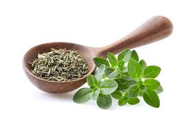 Premium Photo | Fresh thyme with dry thyme leaves on white