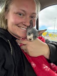 Sphynx Cat Lovers