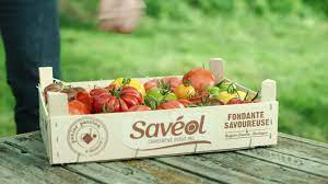 Discover more posts about saveol. Saveol Accueil Facebook