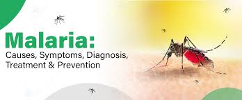 Image result for Malaria