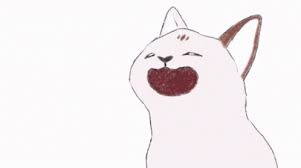 And you havent even passed poland bro i can say to my all friends that they pyut popcat on and we will have like 50 k pps. Overly Animated Popcat Gif Overly Animated Popcat Overly Animated Discover Share Gifs
