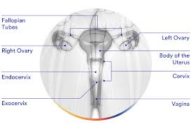 As the symptoms of ovarian cancer can be similar to those of other conditions, it can be difficult to recognise. Ovarian Cancer Versavo