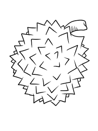 Tropical and exotic fruit line illustration. Durian Coloring Image Free Durian Plant Coloring Pages Flowers Coloring Pages