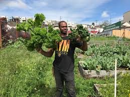 If your family is larger (or smaller), scale up or down as needed. Florence Fang Community Farm Sf