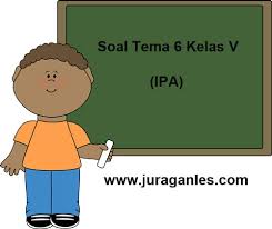 Soal Tematik Kelas 5 Tema 6 Mapel Ipa Dan Kunci Jawaban Juragan Les