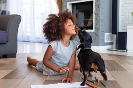 Check spelling or type a new query. The 10 Best Pet Med Stores For 2021 Free Buyers Guide