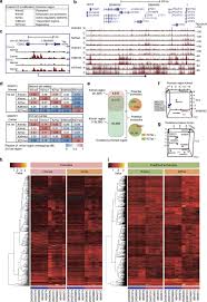 Learn what cancer is and what causes it. Nanoscale Chromatin Profiling Of Gastric Adenocarcinoma Reveals Cancer Associated Cryptic Promoters And Somatically Acquired Regulatory Elements Nature Communications