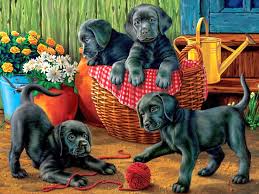 We did not find results for: Cute Dogs Play Jigsaw Puzzle For Free At Puzzle Factory