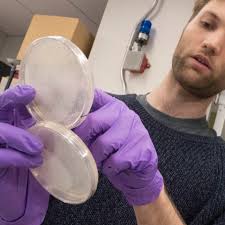 Scientists Build Dna From Scratch To Alter Life S Blueprint Stat