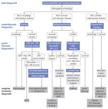 Wir erklären alle laborwerte des blutbild und weitere indikatoren, als tabelle mit den normwerten, den abkürzungen und deren bedeutung wir helfen ihnen auf dieser seite ihre blutwerte zu verstehen. á Kleines Blutbild Alle Erklarungen Was Diese Werte Bedeuten
