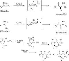 Image result for Macrolide