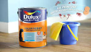 The first manifestations of french painting are given in the prehistoric art and with the roman epoch with some murals. Decorative Paints Akzonobel Q2 2019