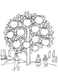 Oranges Coloring Pages Best Coloring Pages For Kids Tree Coloring Page Coloring Pages Fruit Coloring Pages