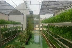 Visi badan pusat statistik adalah sebagai penyedia data statistik berkualitas untuk indonesia maju. Mekanisasi Pertanian Modern Untuk Hortikultura Antara News