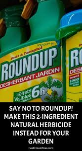 Say No To Roundup Make This 2 Ingredient Natural Herbicide Instead For Your Garden Organic Fungicide Herbicide Organic Pesticide