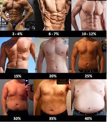 Vous avez le calcul de l'img, l'indice de masse graisseuse, voilà, c'est ça. Photos Pourcentage De Graisse Des Hommes Et Femmes