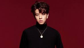 They debuted on 25 march, 2018 with their first mini album, i am not. Stray Kids Members Profile Name Ages Birthday Heigh Update