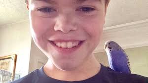 Interview: Harry Hunter