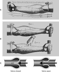 The Birth Of The Experimental Method In The 17th And 18th Centuries Springerlink