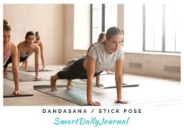 Dandasana Or Stick Pose Surya Namaskar Surya Namaskara Poses