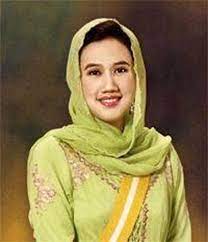 Majlis perkahwinan tengku iman &tengku bakar (24.08.2018). Illustrious Royal Siblings The Star