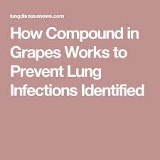 How Compound In Grapes Works To Prevent Lung Infections Identified Lung Infection Prevention Lunges