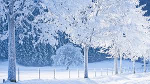 4.595 kostenlose bilder zum thema hintergrundbild. Winter Wallpapers 1920x1080 Full Hd 1080p Desktop Backgrounds