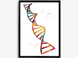 Double Helix Spiral Structure Of A Human Dna Stringdna Etsy Molecule Art Biology Art Watercolor Print
