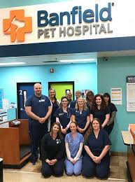 Family of businesses, and today we are 1,000 hospitals strong with over 16,000 associates working toward one goal—to give pets the highest quality veterinary care in neighborhoods across the united states. Bradenton Fl Animal Clinic Banfield Pet Hospital