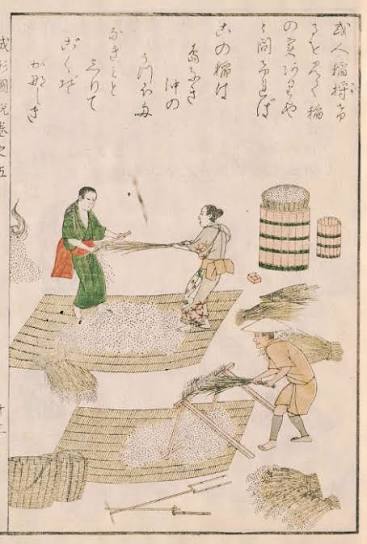 千歯扱(せんばこき)とは？ 意味や使い方 - コトバンク