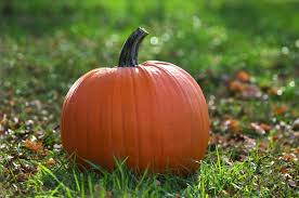 Mix flour, brown sugar, baking powder, cinnamon, ginger, salt and allspice in la. Are These Pumpkin Spice Products Real Or Fake