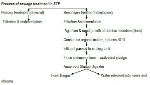 Microbes In Human Welfare Class 12 Notes Pdf Download Products