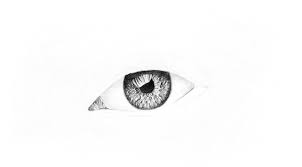 That is why i decided to create this blog post: How To Draw A Realistic Eye