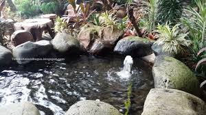 Taman kolam minimalis modern dan sederhana. Kolam Ikan Minimalis Nan Indah Alami Taman Kolam Bagus